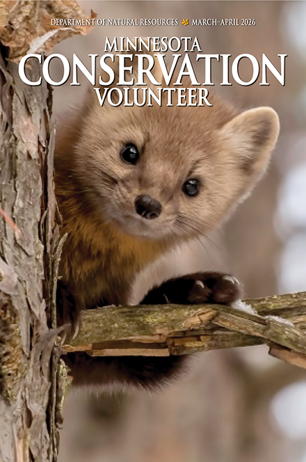 Minnesota Conservation Volunteer Minnesota Conservation Volunteer