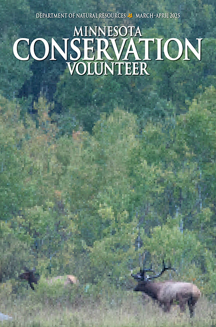 Minnesota Conservation Volunteer