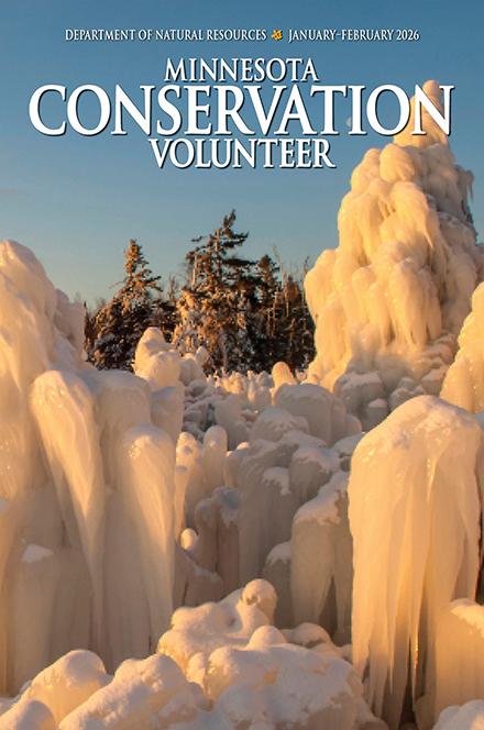 Minnesota Conservation Volunteer Minnesota Conservation Volunteer