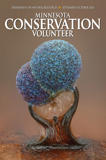 Minnesota Conservation Volunteer Minnesota Conservation Volunteer