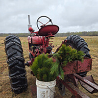 Cost share for woodland owners A large red tractor carrying tree seedlings is parked in an open field.