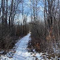 2025 Hunting Regulations Snow covered trail in a Minnesota State Park