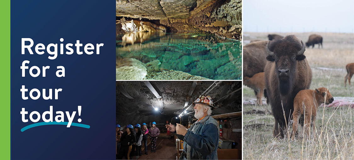 Tours in Minnesota state parks. Register for a tour today! A cave with reflecting water. A mine guide directs a group of tourists. Bison and their calves roam a praire range.