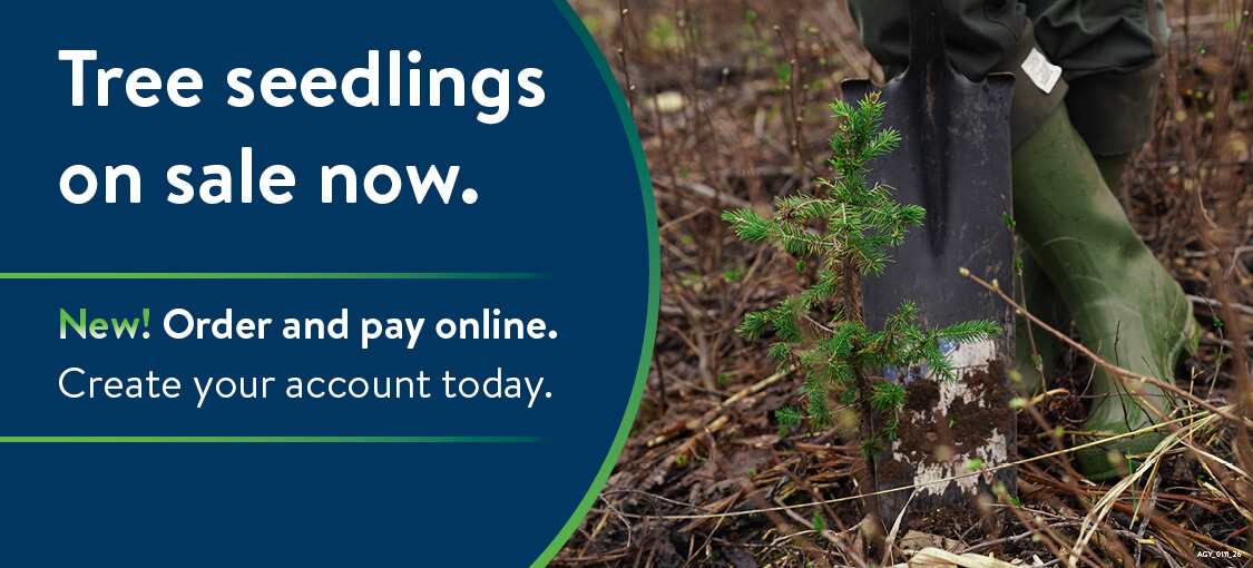 Tree seedlings on sale now. New! Order and pay online. Create your account today.