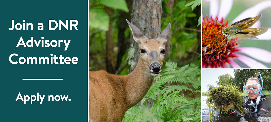 Join a DNR Advisory Committee.