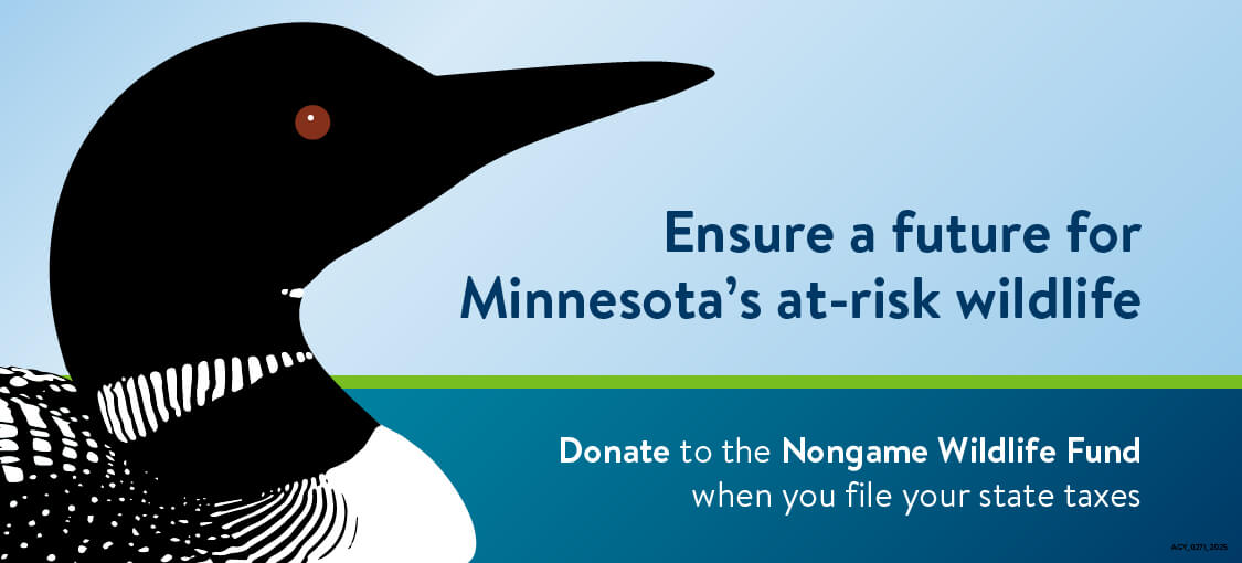 A colorful cartoon of a loon head, asking the user to donate online to help Minnesota's wildlife