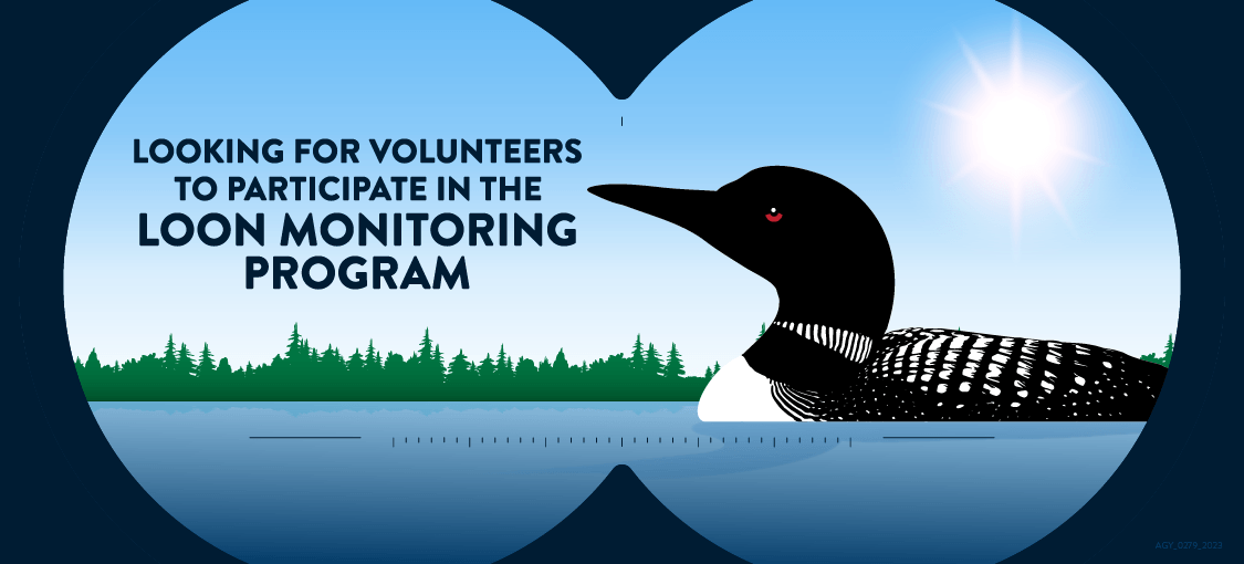 Looking for volunteers to participate in the loon monitoring program.