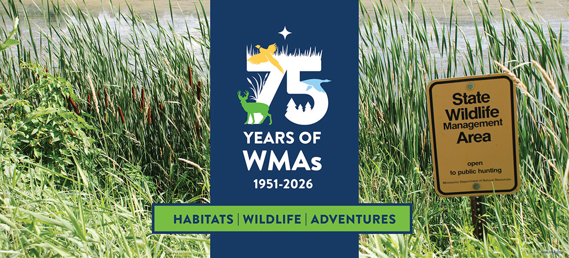 75 years of WMAs (1951-2026) habitats, wildlife, and adventures. Grassy marshland and a sign that reads, State Wildlife Management Area.
