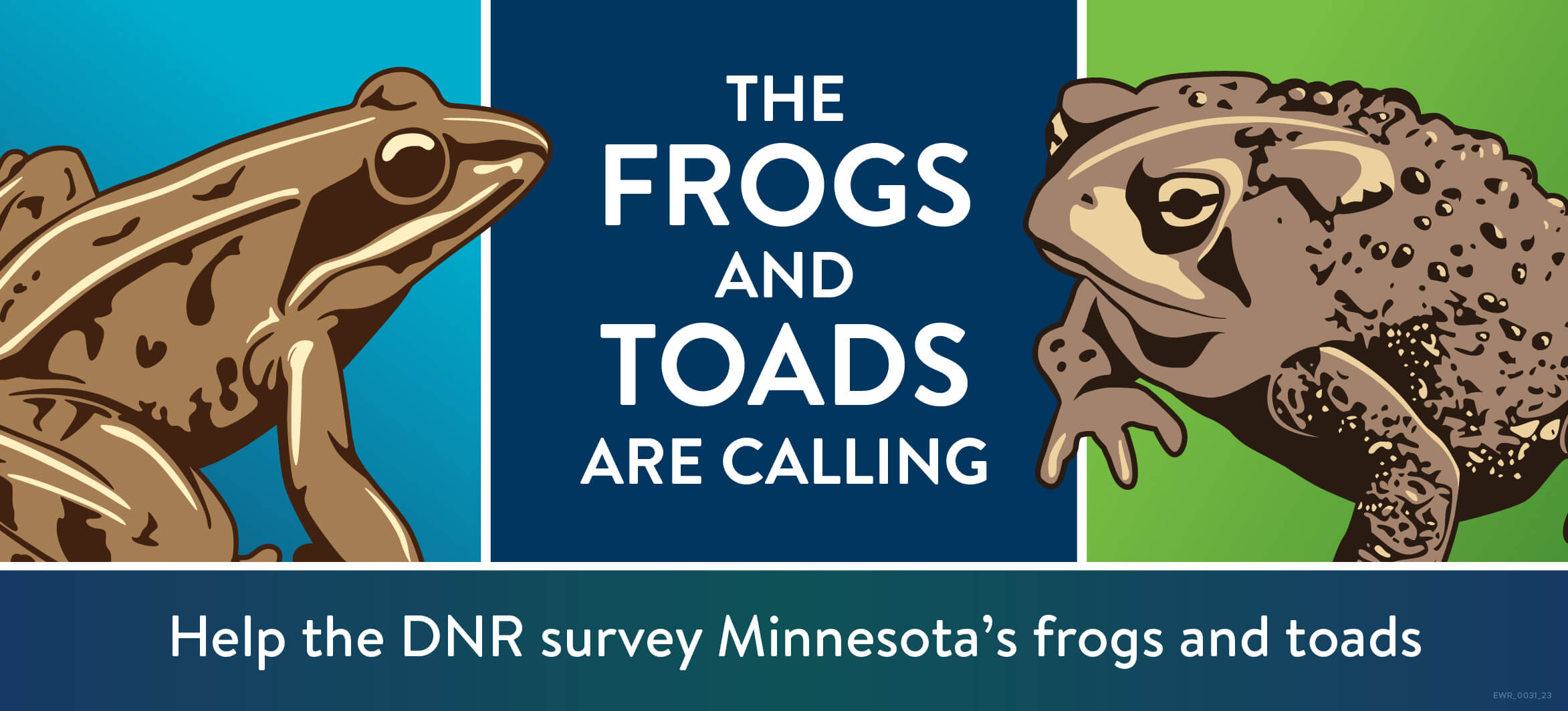 A colorful cartoon showing a frog and a toad. There is text saying the frogs and toads are calling, joing the Minnesota Frog and Toad Calling Survey