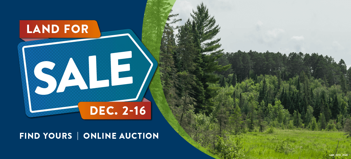 Land for sale, find yours A field of grass with tall pines and green trees