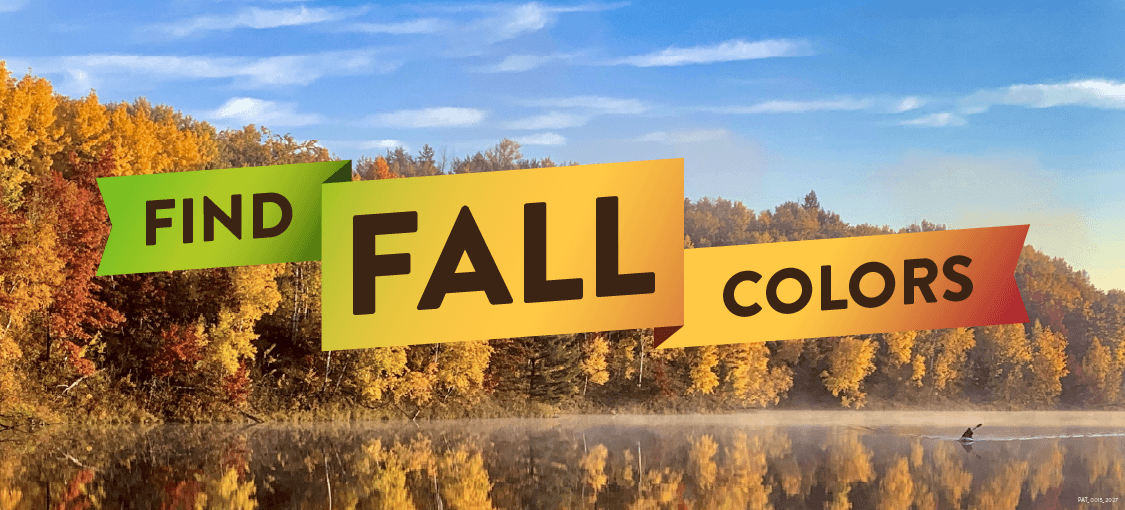 Find Fall Colors Find Fall Colors banner with trees with yellow leaves surrounding a placid lake.